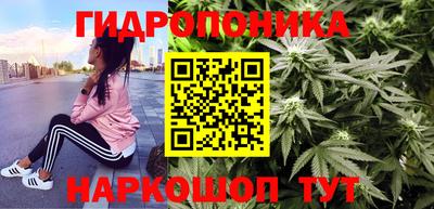 Альфа ПВП Бийск